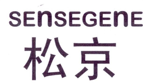松京