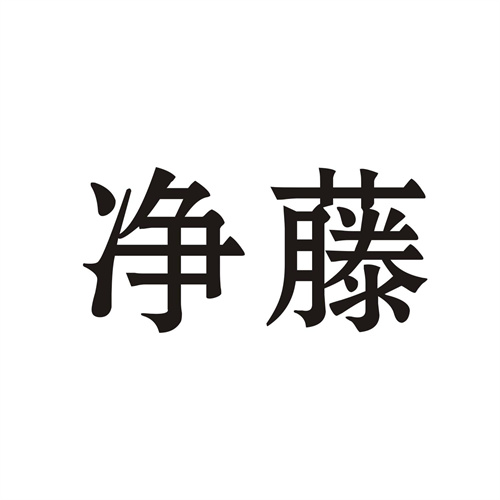 净藤