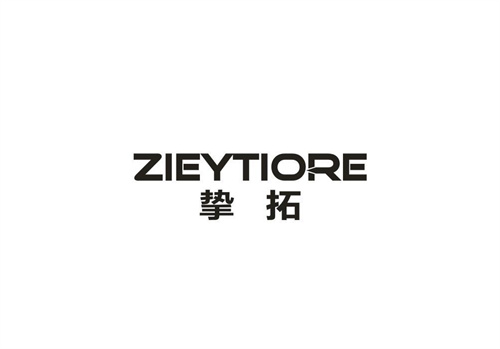 挚拓