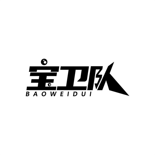 宝卫队