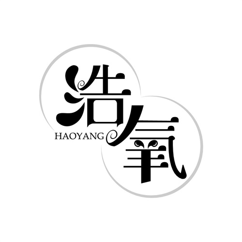 浩氧
