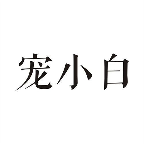 宠小白