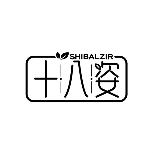 十八姿