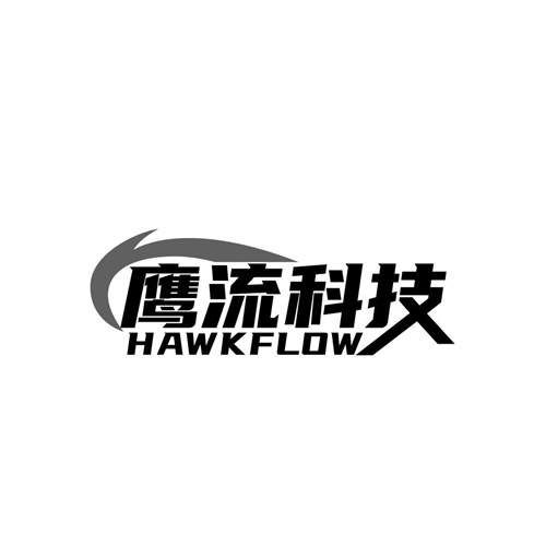 鹰流科技