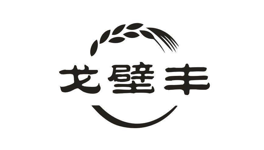 戈壁丰