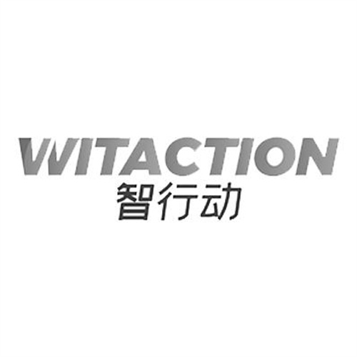 智行动