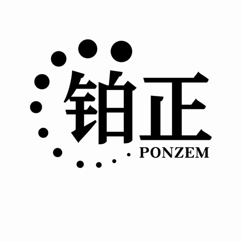 铂正