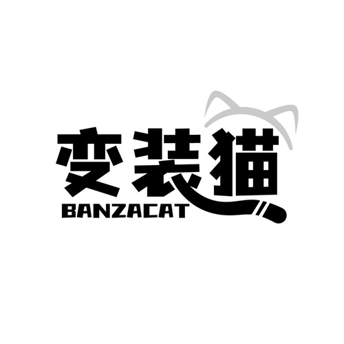 变装猫