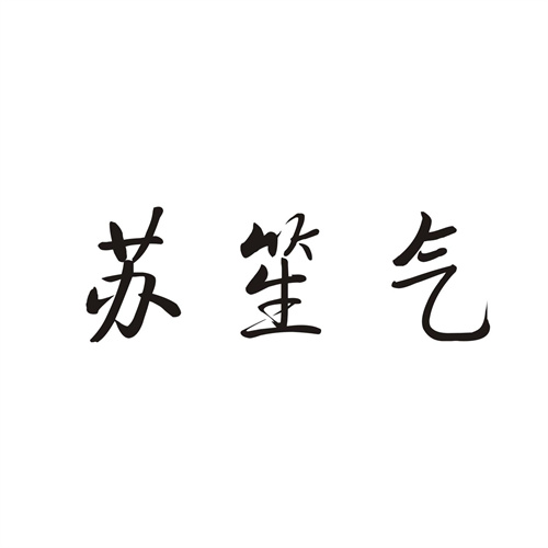 苏笙气