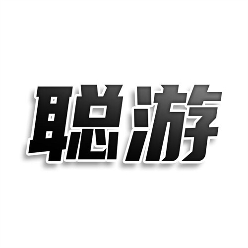 聪游