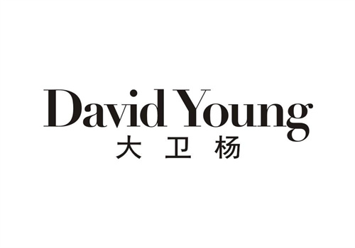 大卫杨