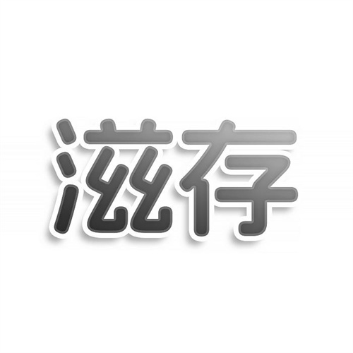 滋存