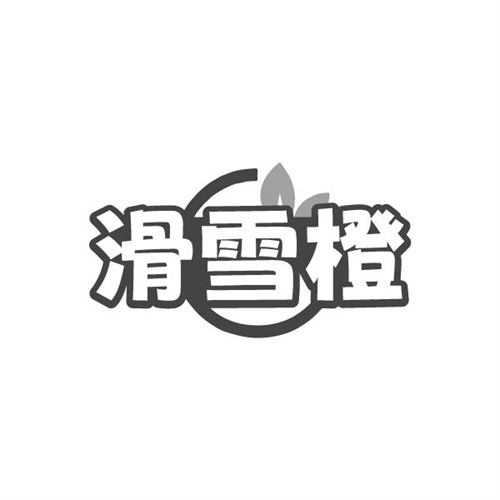 滑雪橙