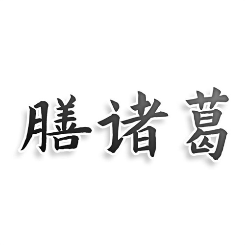 膳诸葛