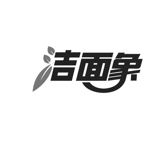 洁面象