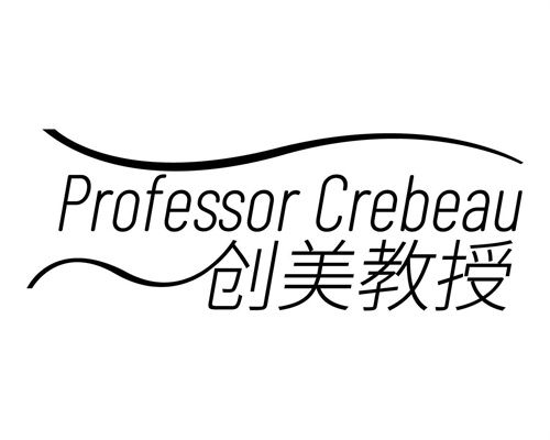 创美教授
