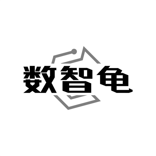数智龟