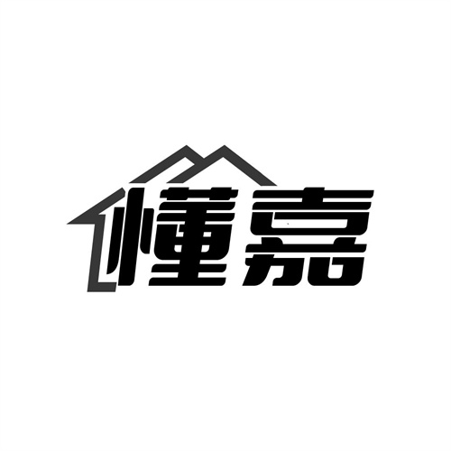 懂嘉