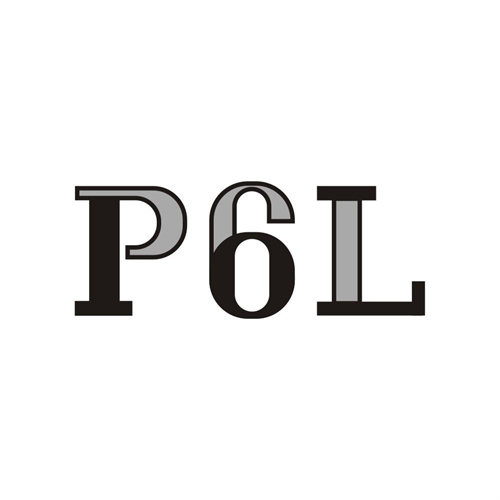 P6L，第14类商标转让