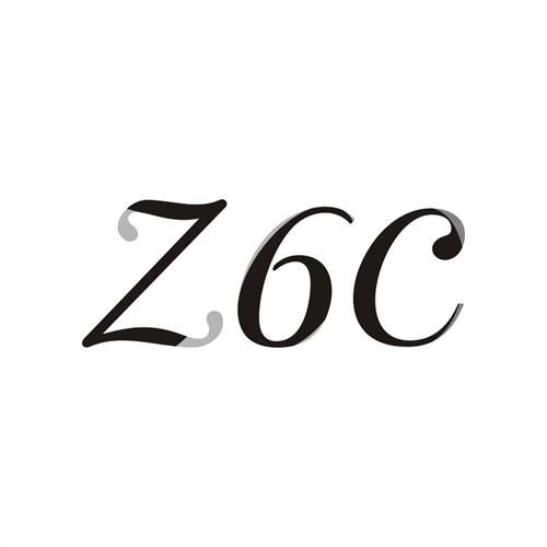Z6C商标图样