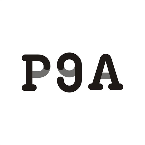 P9A，第3类商标转让