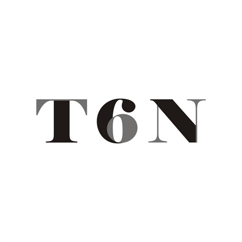 T6N商标图样