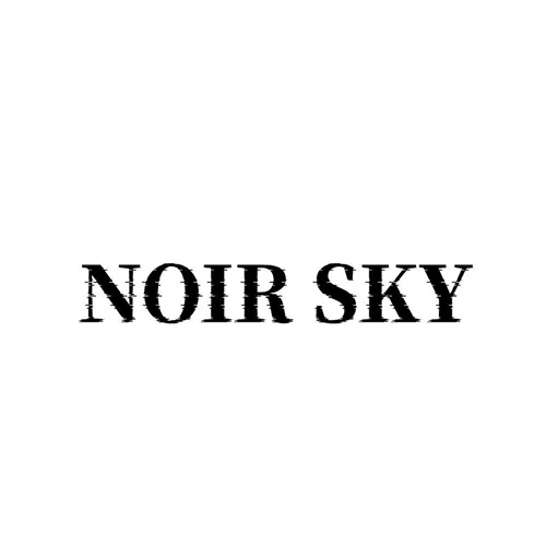 NOIRSKY，第25类商标转让