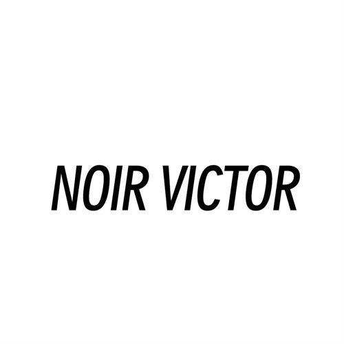 NOIRVICTOR，第25类商标转让