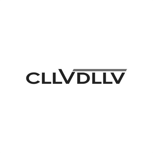 CLLVDLLV，第25类商标转让