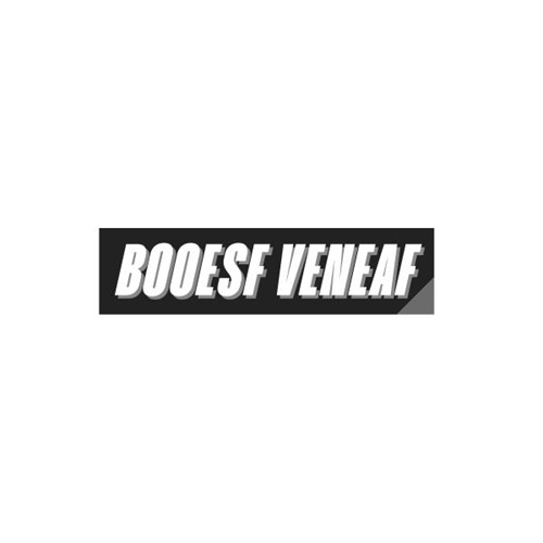 BOOESFVENEAF，第25类商标转让