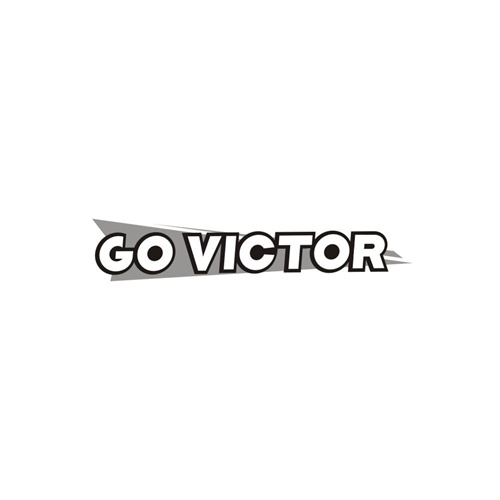 GOVICTOR，第25类商标转让