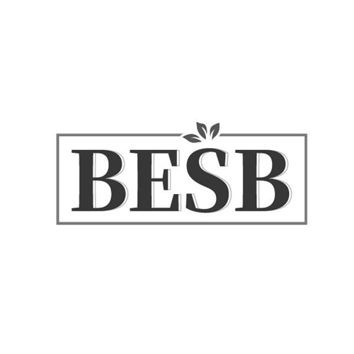 BESB商标图样