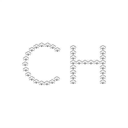 CH商标图样