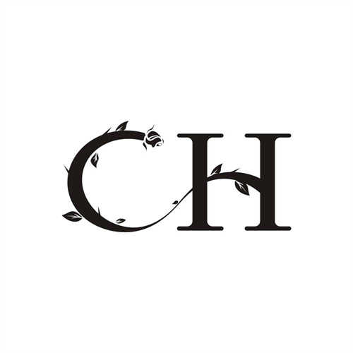 CH商标图样