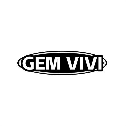 GEMVIVI，第25类商标转让