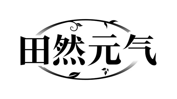 田然元气商标图样