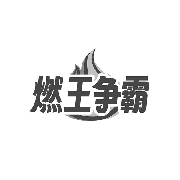 燃王争霸商标图样