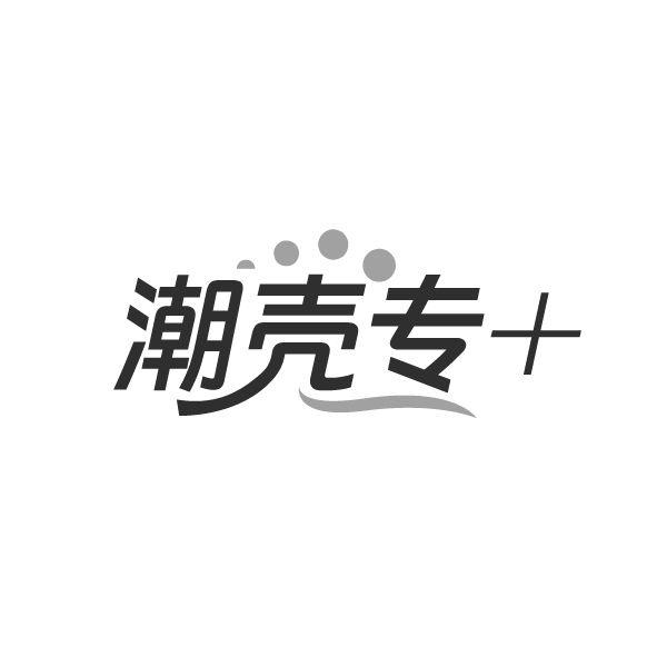 潮壳专+,第9类商标转让