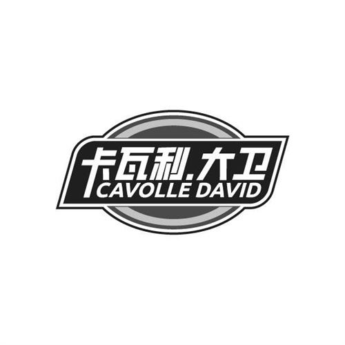 卡瓦利大卫,第25类商标转让