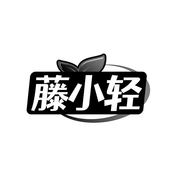 藤小轻，第30类商标转让