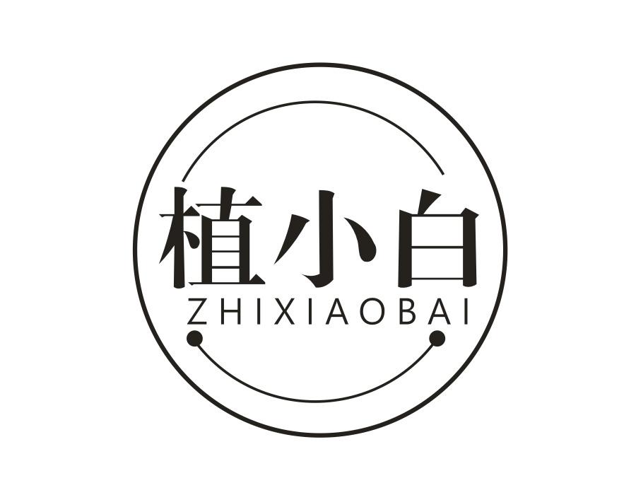 植小白，第20类商标转让