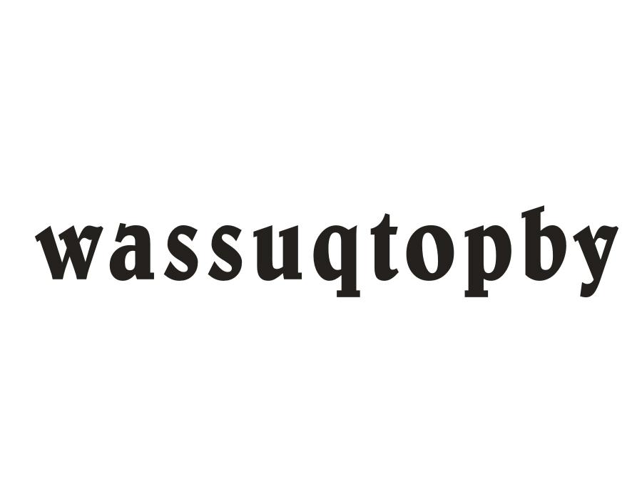 WASSUQTOPBY,第25类商标转让