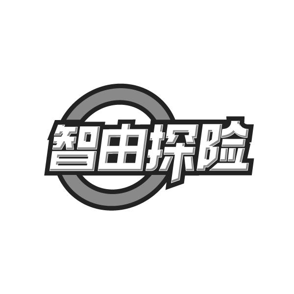智由探险