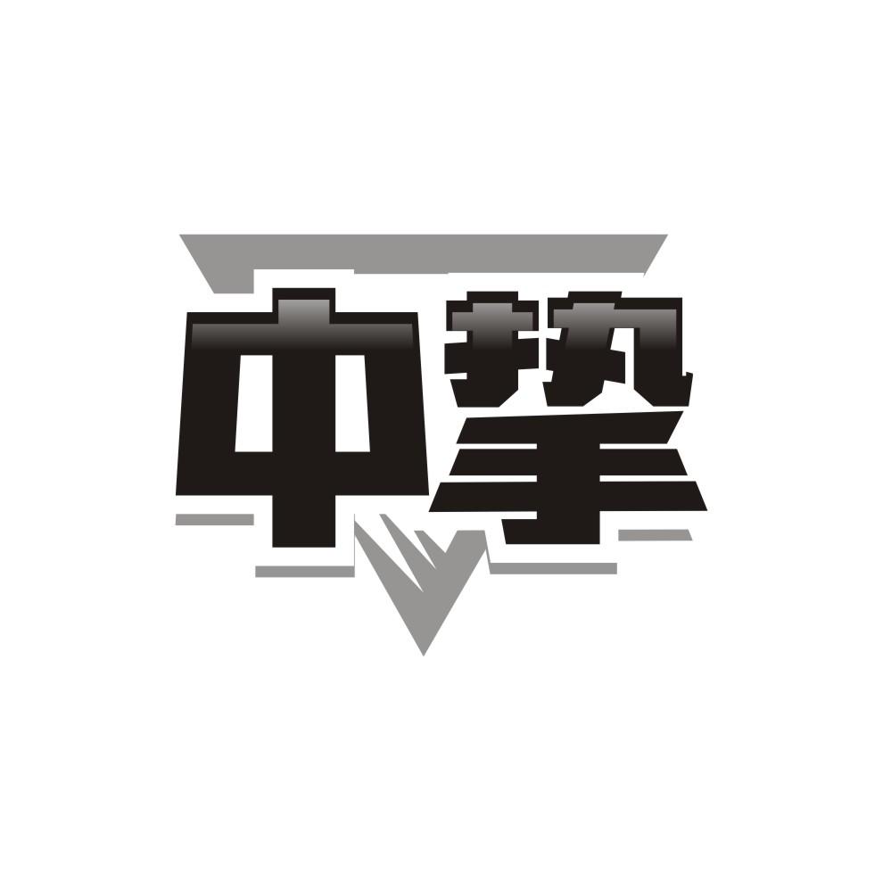 中挚