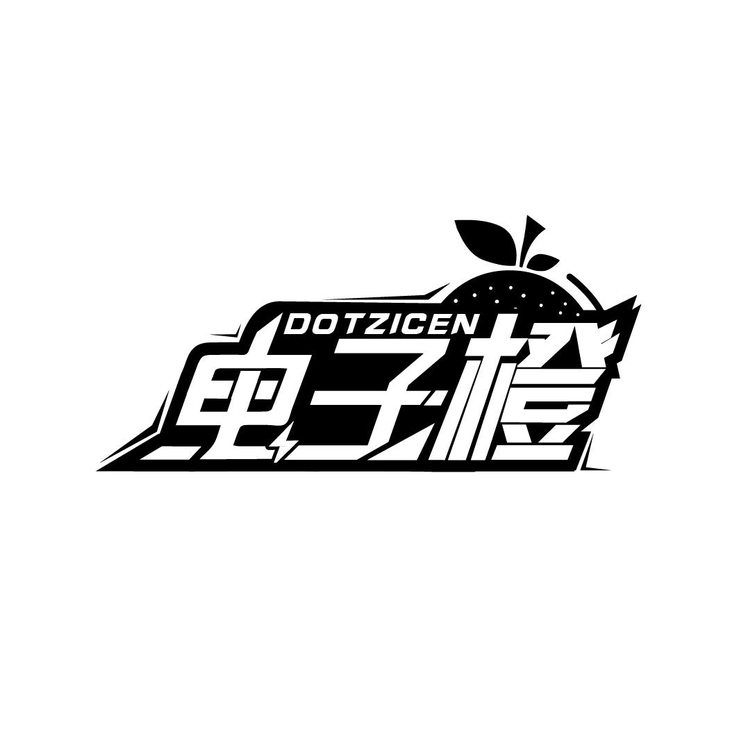 电子橙,第9类商标转让