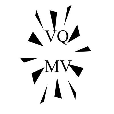 VQMV,第25类商标转让