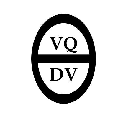 VQDV,第25类商标转让