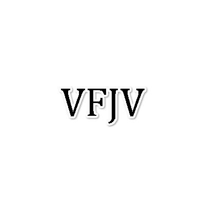 VFJV,第25类商标转让