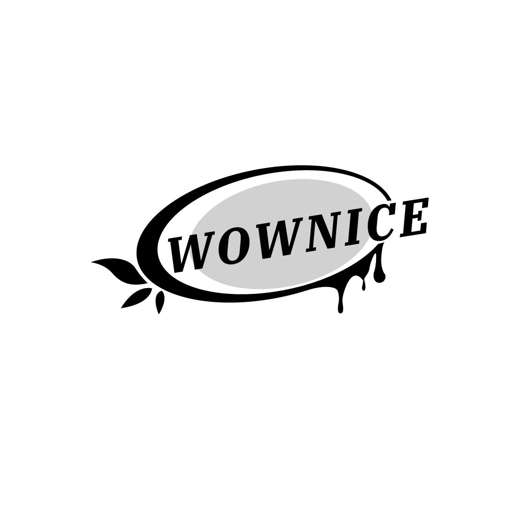 WOWNICE，第43类商标转让