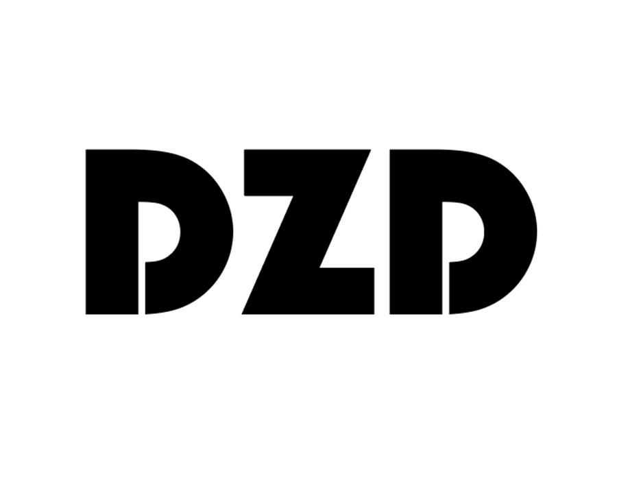 DZD商标图样